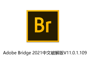 Adobe Bridge 2021中文破解版 V11.0.1.109下载地址