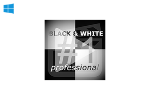 Franzis BLACK WHITE Video Professional 1.13.03822中文汉化破解版-视频转黑白软件