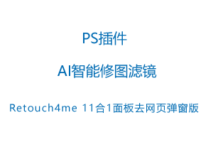 Retouch4me AI智能修图滤镜11合1 面板去网页弹窗版