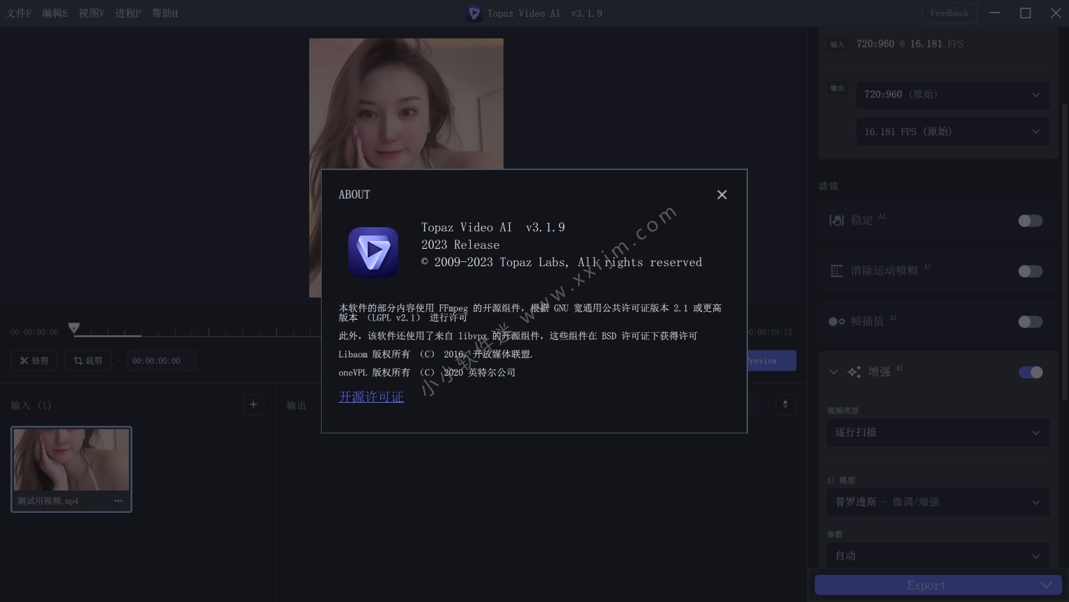 黄玉视频 Topaz Video AI 3.1.9 免安装中文绿色版+117G最全离线模型