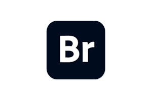 Adobe Bridge 2024 v14.0.0 中文破解版