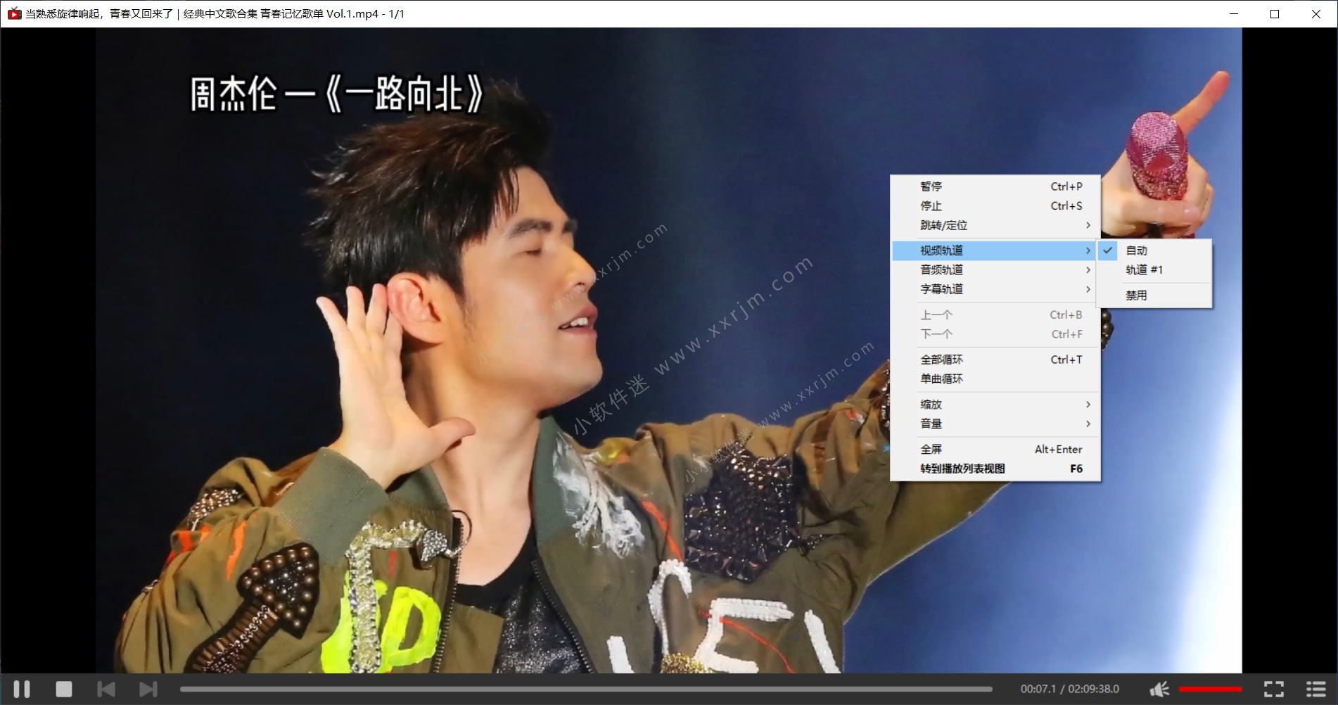 YT下载器 YT Downloader v10.1.3 中文汉化破解版