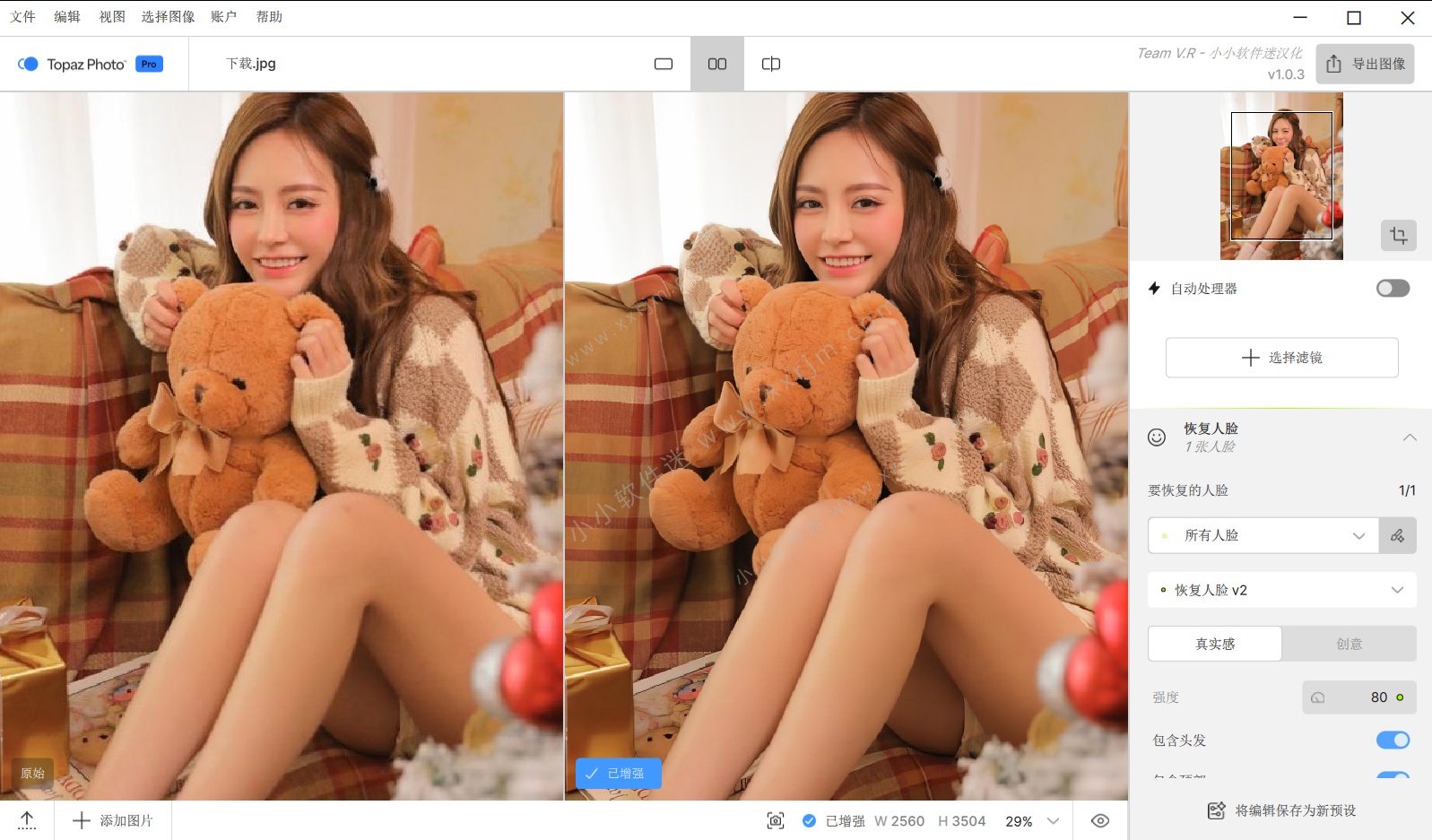 Topaz Photo v1.0.3 中文汉化版