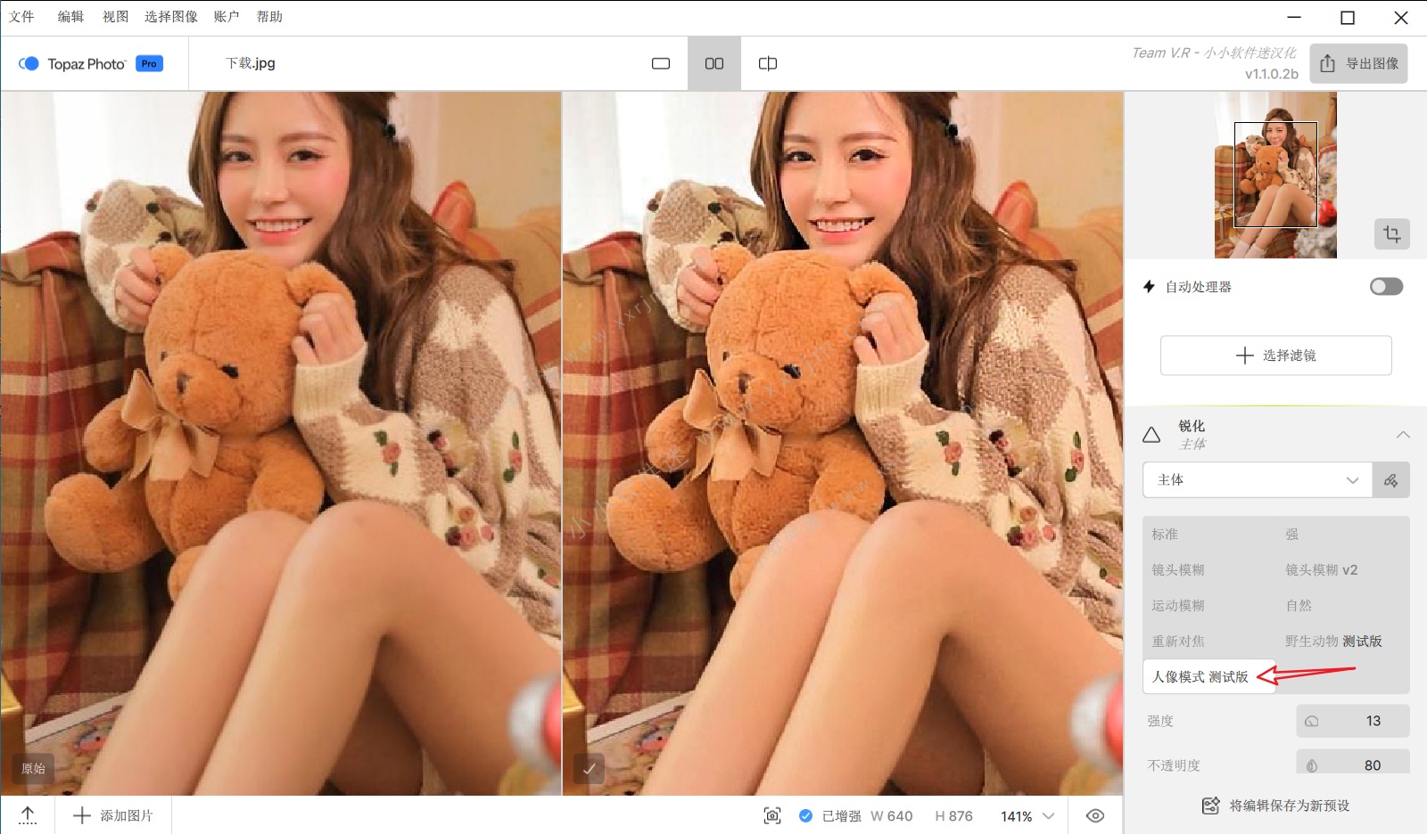 Topaz Photo Beta v1.1.0.2b 中文汉化版