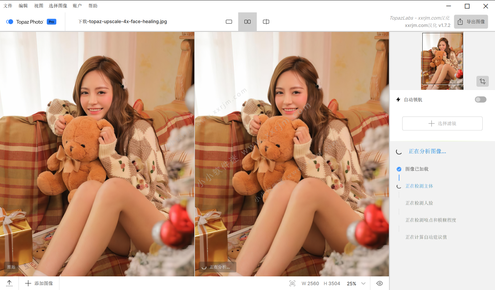Topaz Photo Pro v1.7.1 中文汉化正式版-AI智能图像增强软件